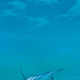 Les Eaux du Monde