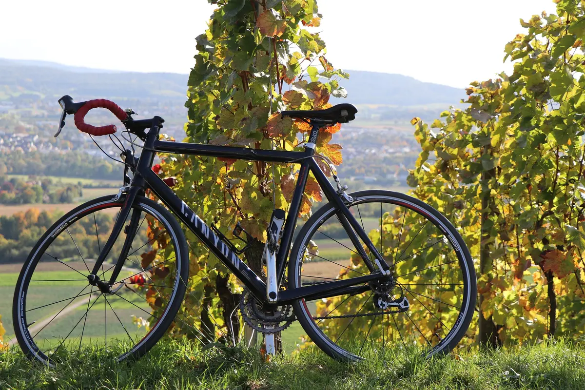 Les échappées à vélo du Chai Gourmet