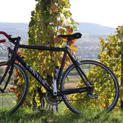 Les échappées à vélo du Chai Gourmet
