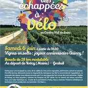 les échappées à vélo : Vignes en selle