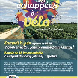 les échappées à vélo : Vignes en selle