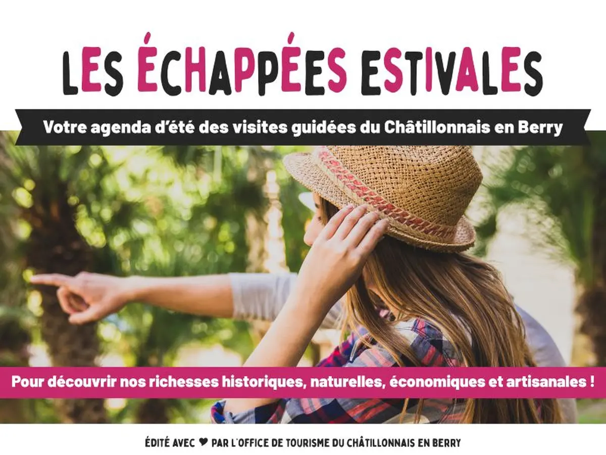 Les Échappées Estivales : Promenades nature accompagnées à la découverte de la biodiversité locale