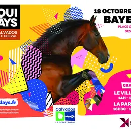 Les Equidays