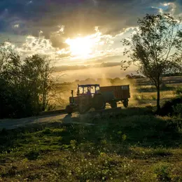 Les équipements professionnels indispensables pour entretenir les grands terrains à la campagne