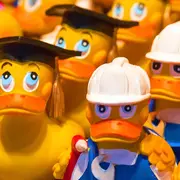 Les Estivales | Course de petits canards