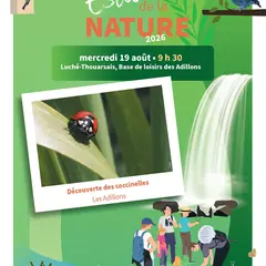 LES ESTIVALES DE LA NATURE : Découverte des coccinelles