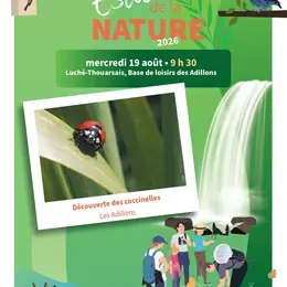 LES ESTIVALES DE LA NATURE : Découverte des coccinelles