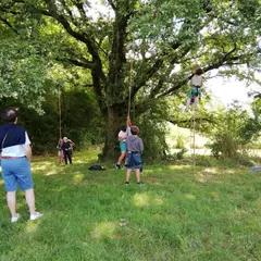 Les Estivales de Scie - Grimpe et casse-croûte dans les arbres