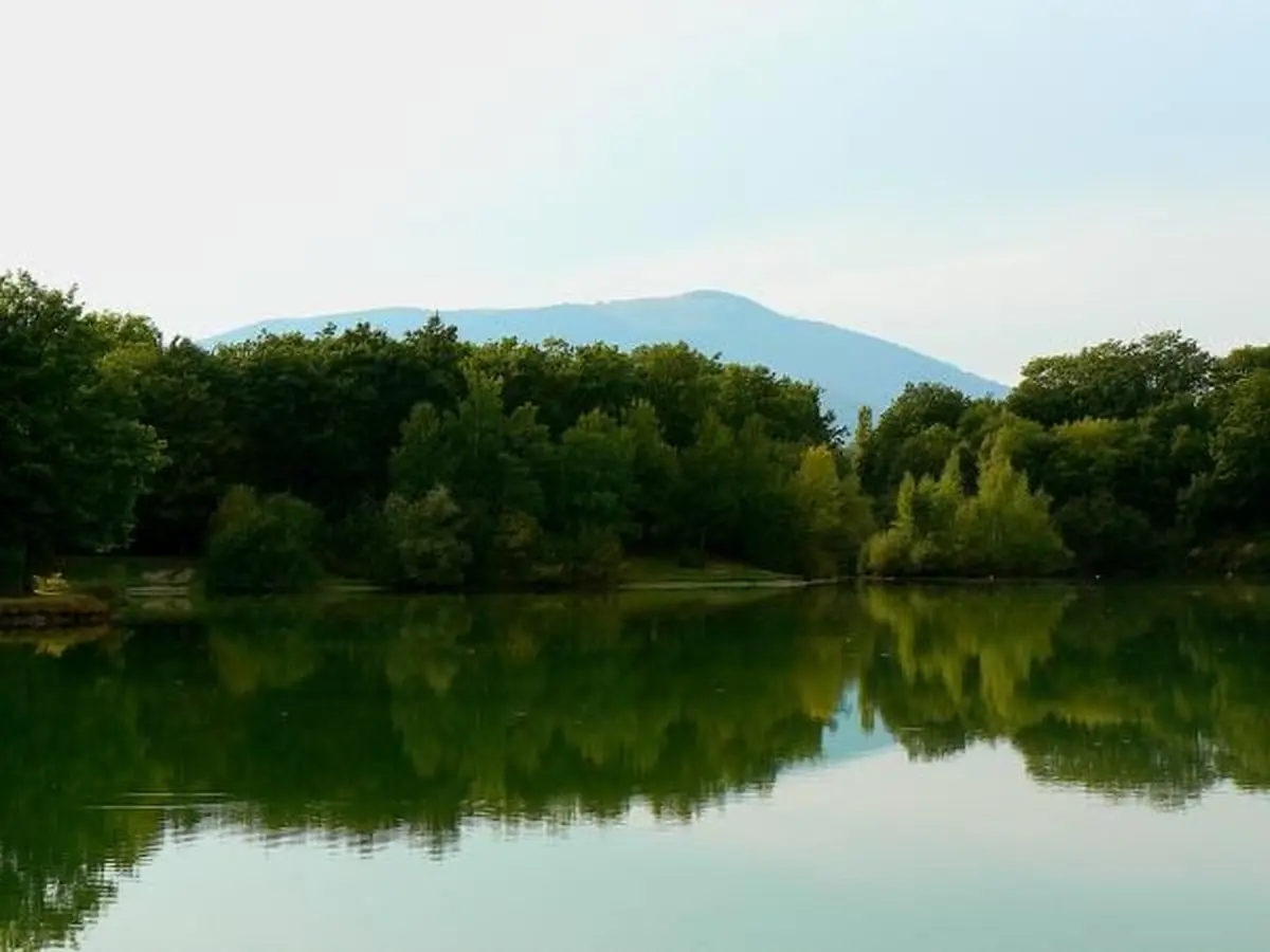 Les étangs de la forêt du Nonnenbruch