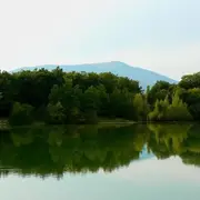 5 plans d'eau à redécouvrir en Alsace