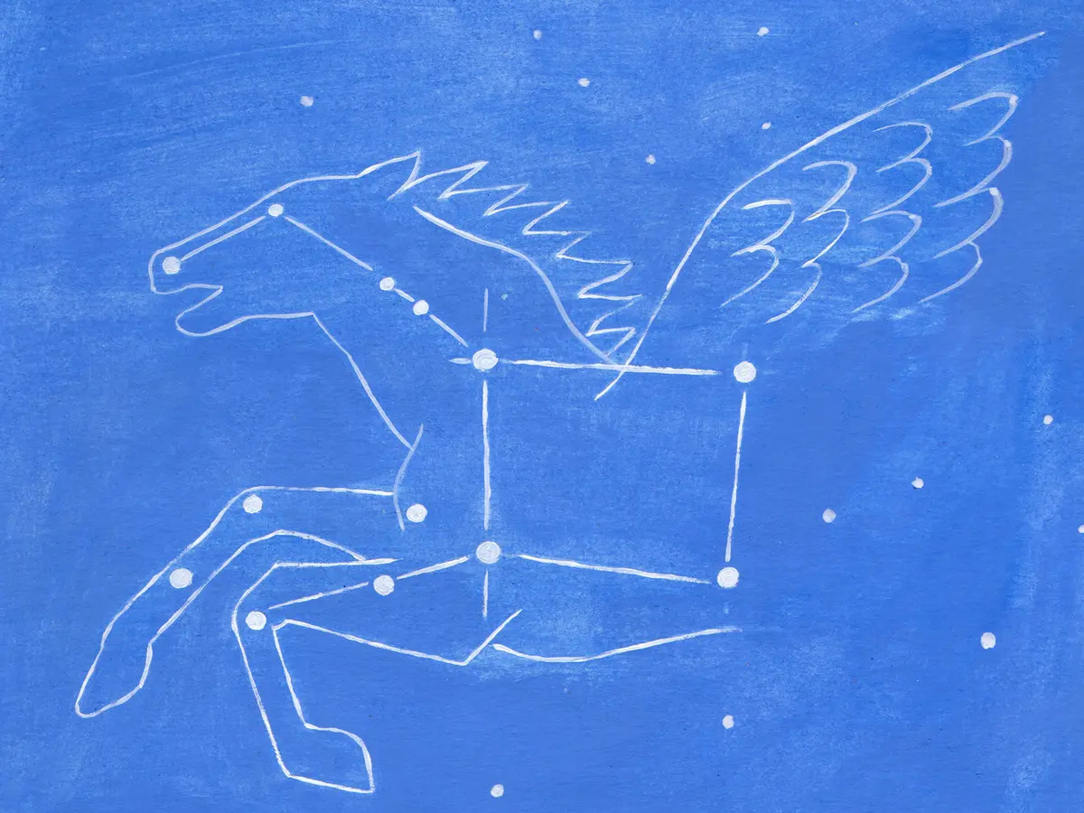 Les étoiles plein les yeux