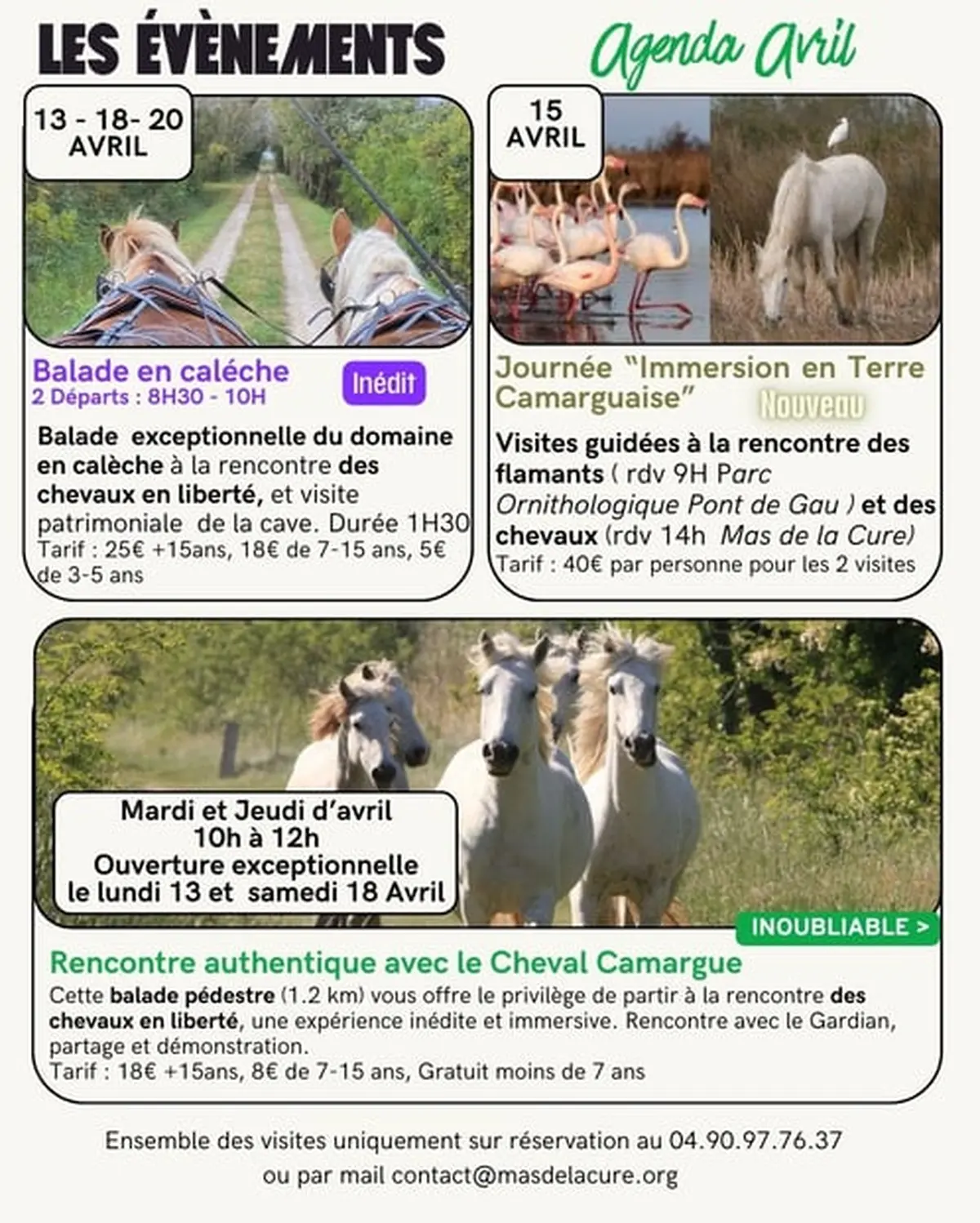 Les évènements d'avril au Mas de la Cure