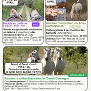 Les évènements d'avril au Mas de la Cure