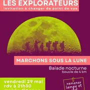 Les explorateurs - Balade nocturne