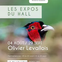 Les expos du Hall | Traces de présence – Olivier Levallois