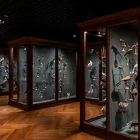 Le Musée Zoologique de Strasbourg a rouvert ses portes en septembre dernier &copy; Musée Zoologique de Strasbourg