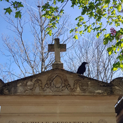 Les familles botaniques au Père-Lachaise