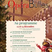 Les fééries de Noël d'OpéraBulles