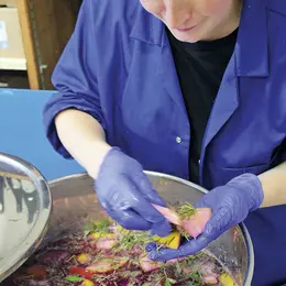 Les fermentations d'Elsa : l'ex-sommelière élabore ses boissons sans alcool