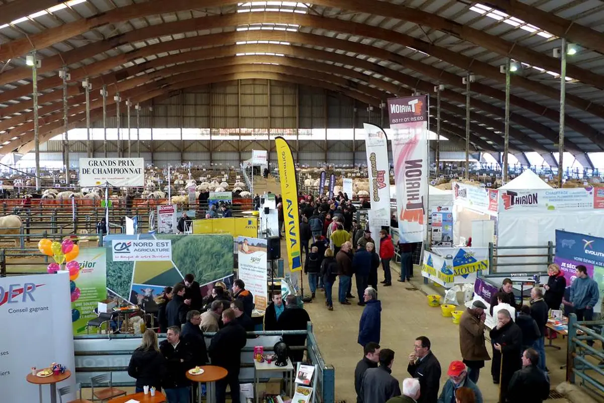 Les Festi'Charolaises