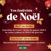 Les festivités de Noël au centre commercial Carrefour Ile Napoléon