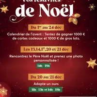 Un beau programme pour préparer les fêtes de fin d'année DR