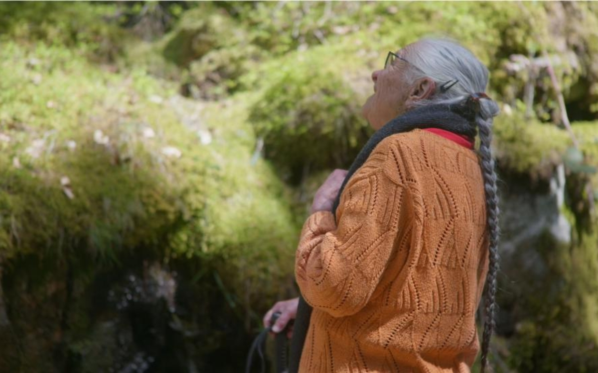 Les films du sous sol : Suzanne, jour après jour, un film de Stéphane Manchematin et Serge Steyer