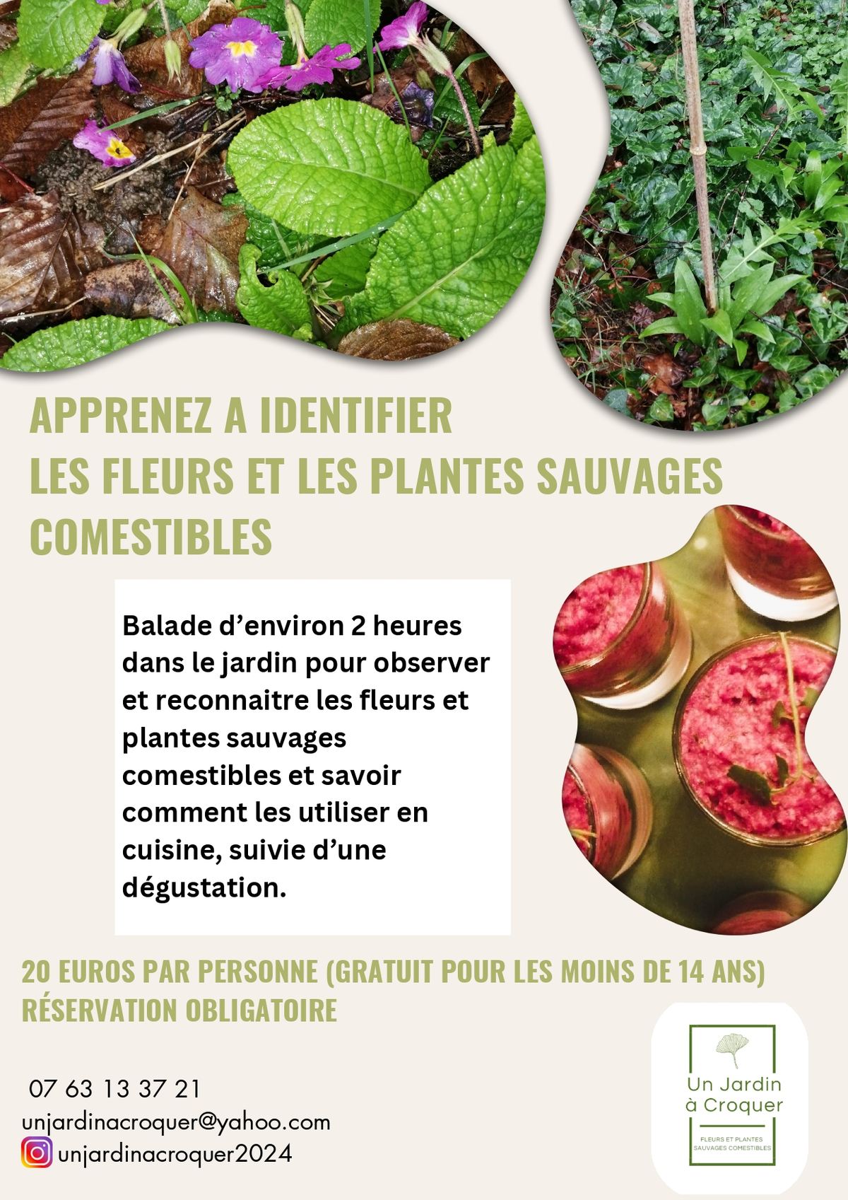 Les fleurs et les plantes sauvages comestibles