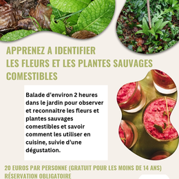 Les fleurs et les plantes sauvages comestibles