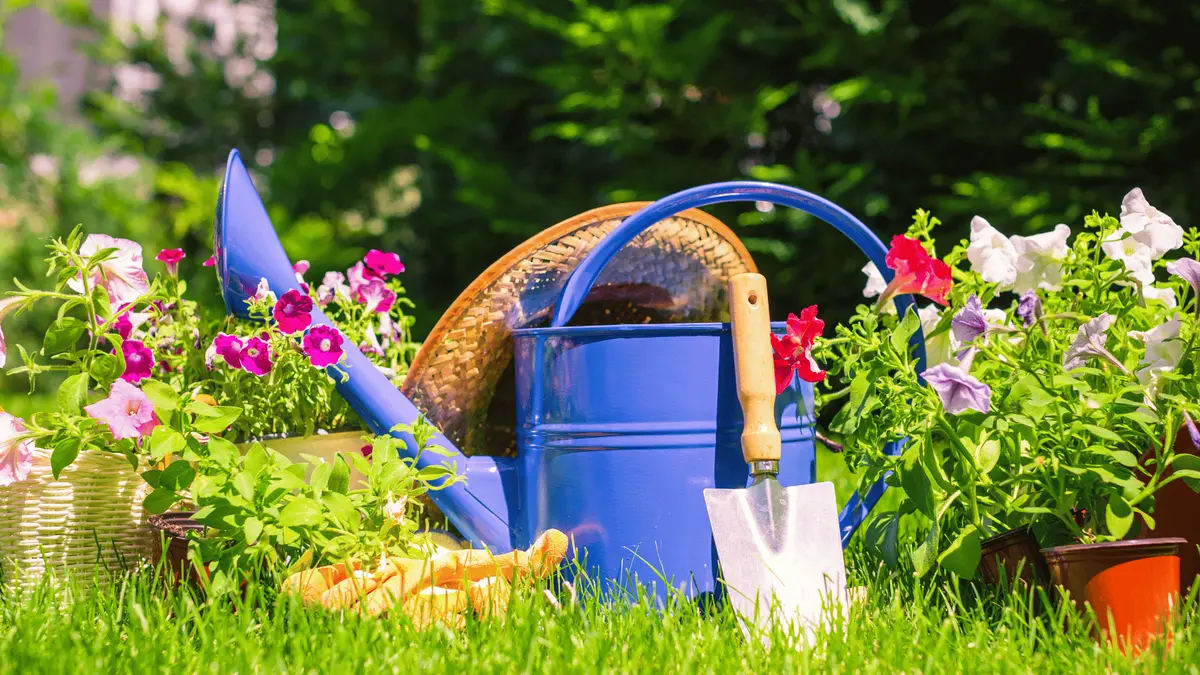 Les Floralies de l'ACBV