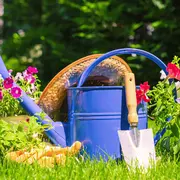 Les Floralies de l'ACBV