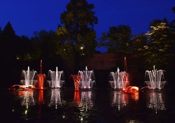 Les Fontaines Dansantes à Metz : un spectacle qui émerveille