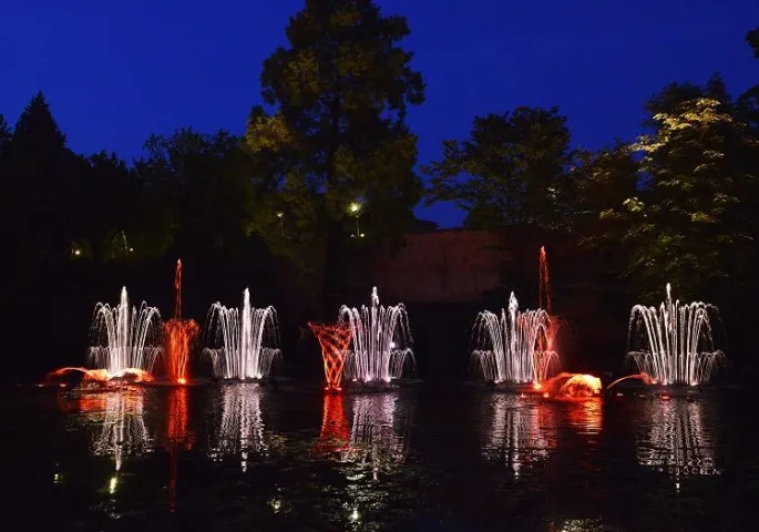Les Fontaines Dansantes à Metz : un spectacle qui émerveille