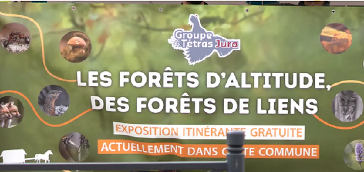 Les forêts d'altitude, des forêts de lien - Projections / Animations / Exposition.