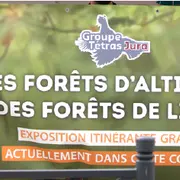 Les forêts d'altitude, des forêts de lien - Projections / Animations / Exposition.