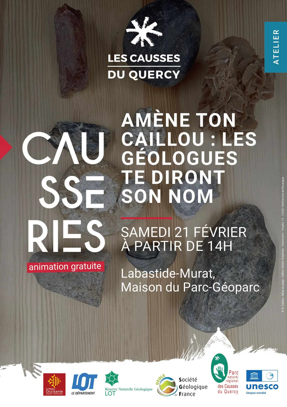 Les fossiles des phosphatières à la loupe Atelier de découverte
