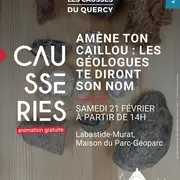 Les fossiles des phosphatières à la loupe Atelier de découverte