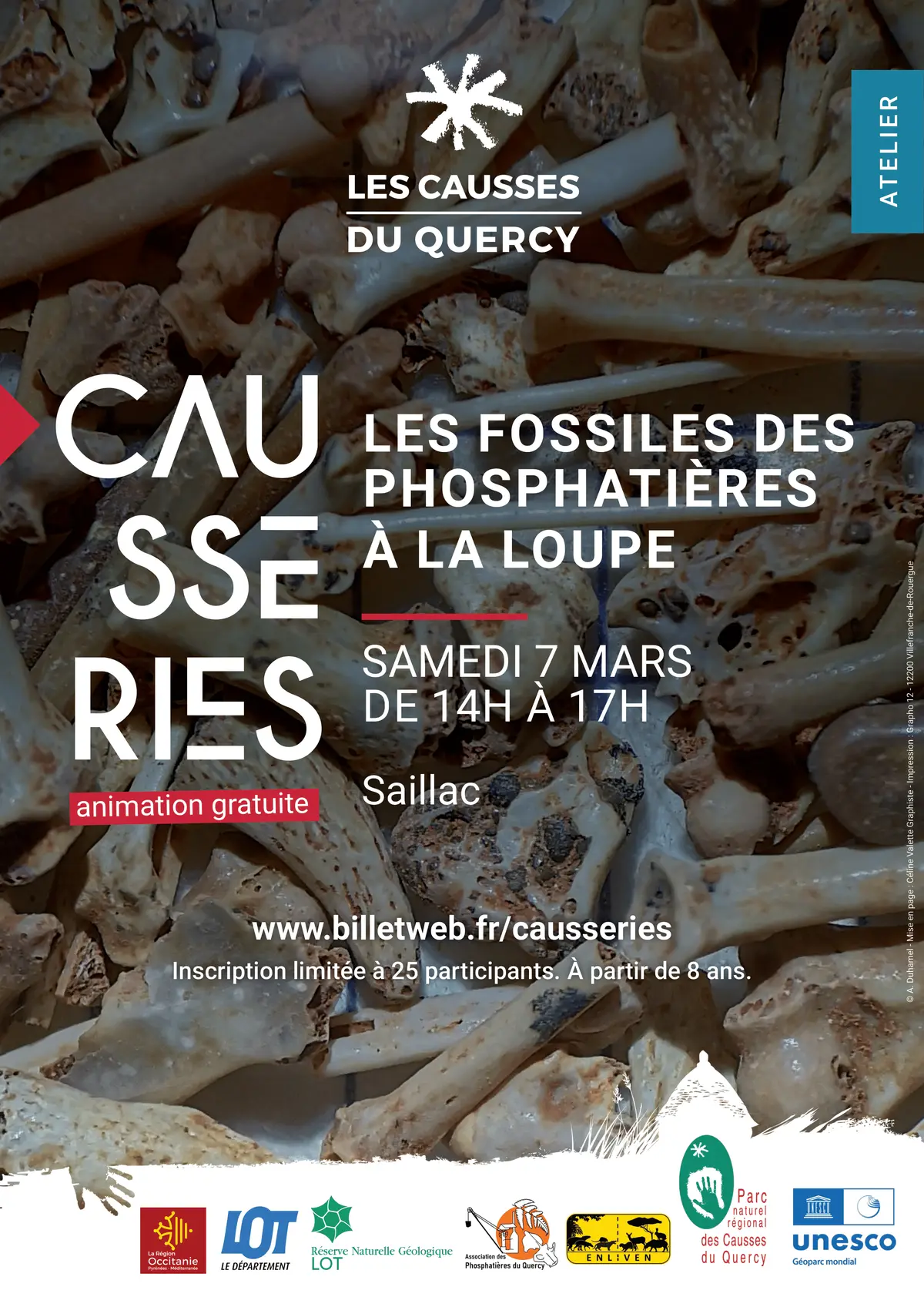 Les fossiles des phosphatières à la loupe Atelier de découverte