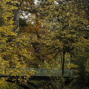 Les Foulées de l'Assurance 2026