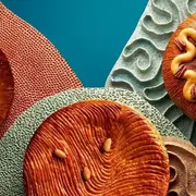 Les galettes de l'Épiphanie Pierre Hermé revisitent la tradition parisienne