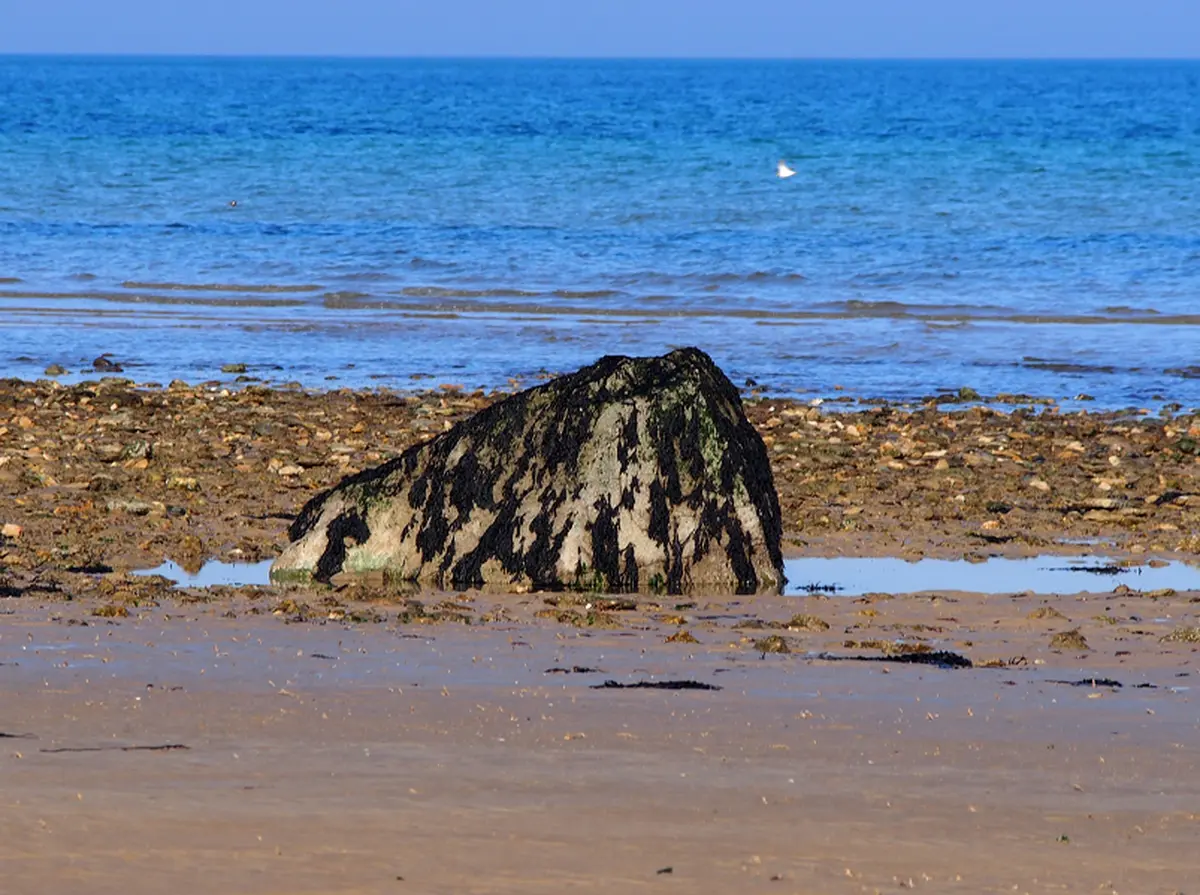Les gas, blocs erratiques venus d'ailleurs le long de la côte de Nacre