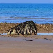 Les gas, blocs erratiques venus d'ailleurs le long de la côte de Nacre