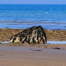 Les gas, blocs erratiques venus d'ailleurs le long de la côte de Nacre