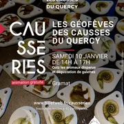 Les Géofèves des Causses du Quercy Quiz sur les animaux disparus