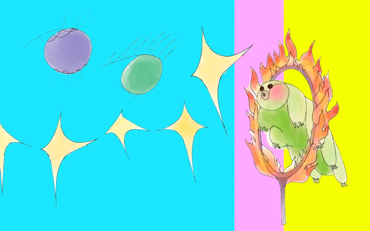 Les Grands Yeux 2026 : festival du documentaire