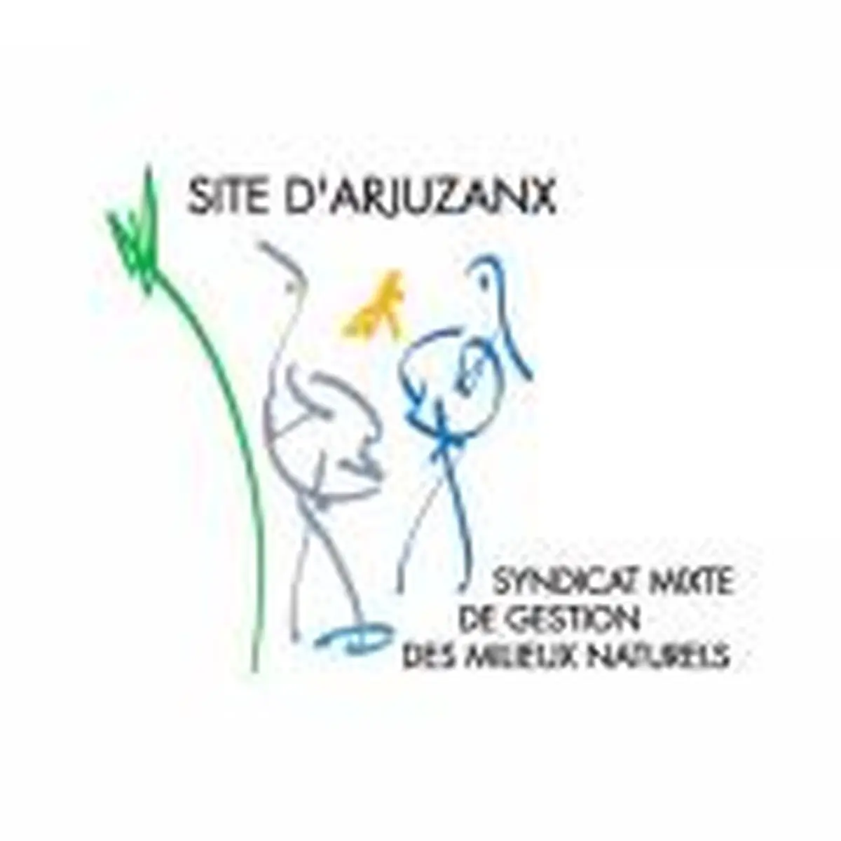 Les grues gourmandes en Pays Morcenais - Le lever