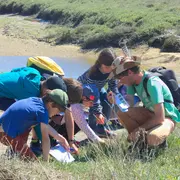 Les habitants de la mare