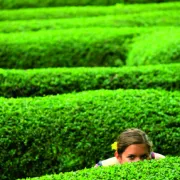 Les haies : guide à l’usage des retranchés