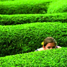 Les haies : guide à l’usage des retranchés