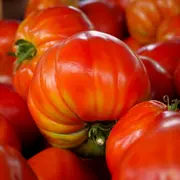 Les Halles du Marché